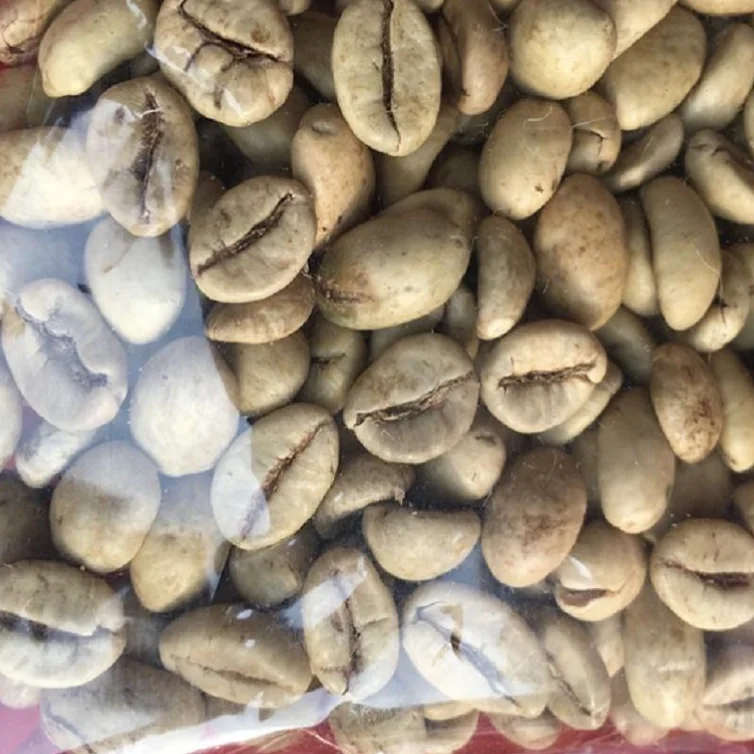  Лучшие зеленые кофейные зерна robusta-вьетнамский КОФЕ robusta
