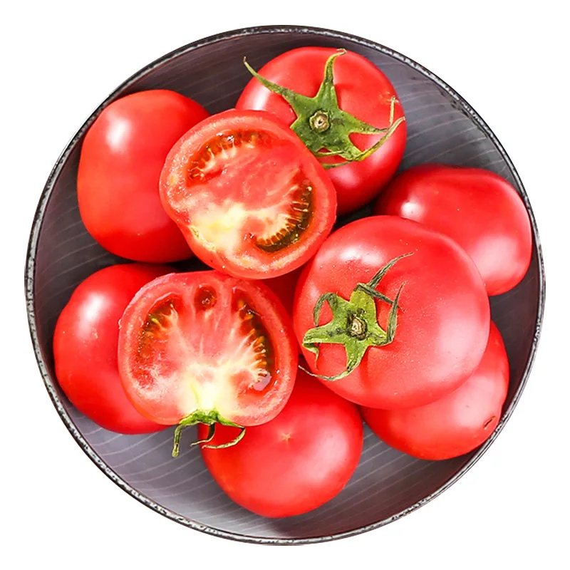 
Turkey safe and pollution-free brand names fresh red organic tomato 