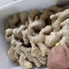 Стандартный отличный свежий
