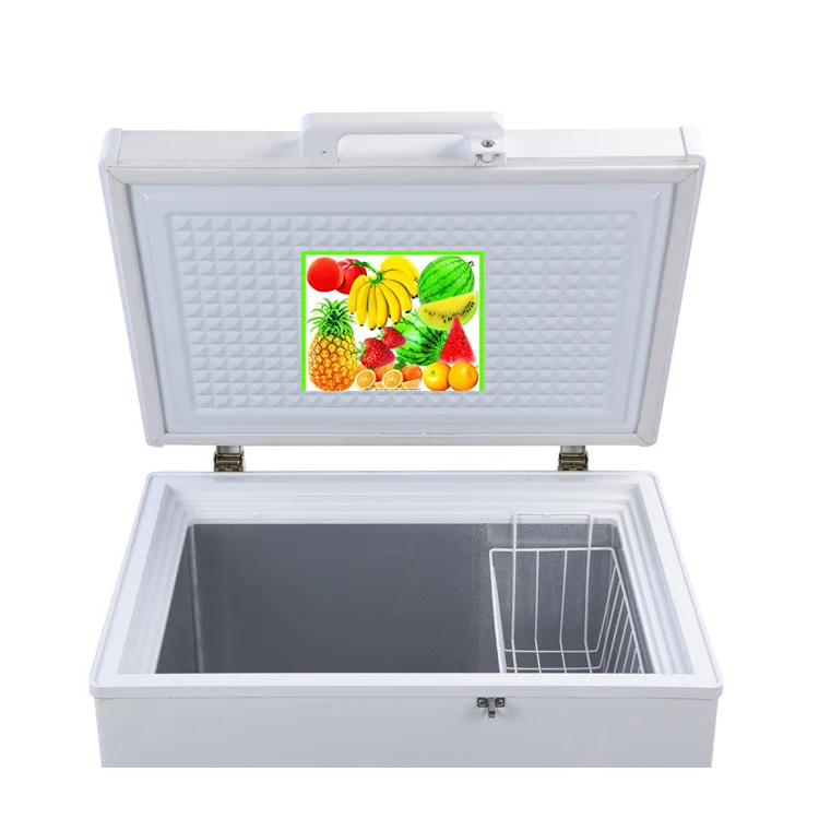 dc Solar Deep Chest Freezer BD/BC-158