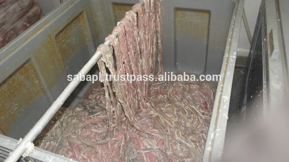Frozen Clean Pork Small Intestine/ Pig Green Runners