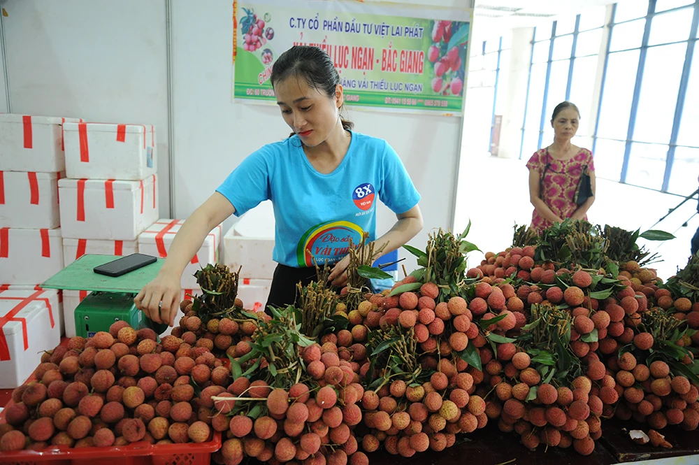  Органическая 100% свежая специальная кухня личи со сладким вкусом из Вьетнама