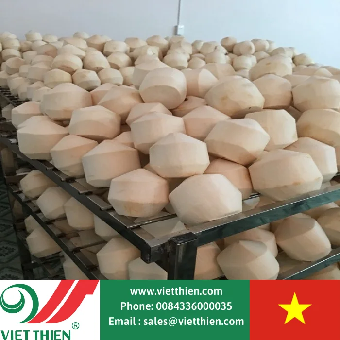 Good price fresh coconut grown by organic method, wholesale supply in large quantities around the world, origin Vietnam