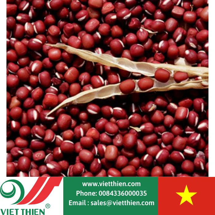 Red beans are clean, high quality, meeting the needs of import and export worldwide in large quantities in Vietnam