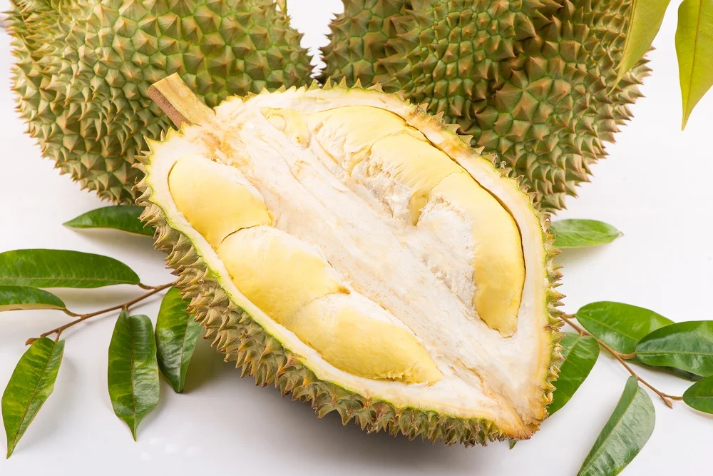 Monthong Variety Carton Box Packaging Yellow Common Cultivation Type Sweet Taste Durian Export From Vietnam
