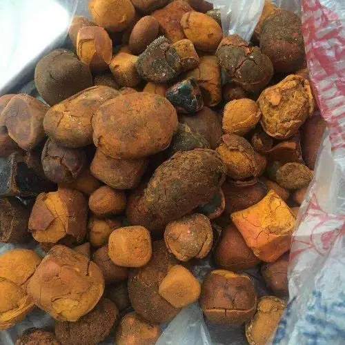 FROZEN GALLSTONES  / Concentrated Ox Bile / CATTLE / Cow Gallstones for sale