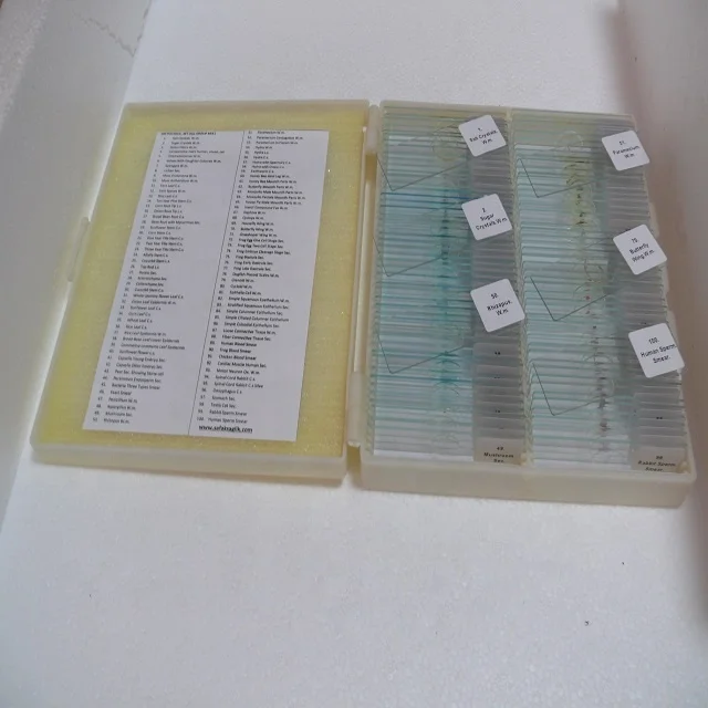 Human Histology Microscope Slides (100pcs)