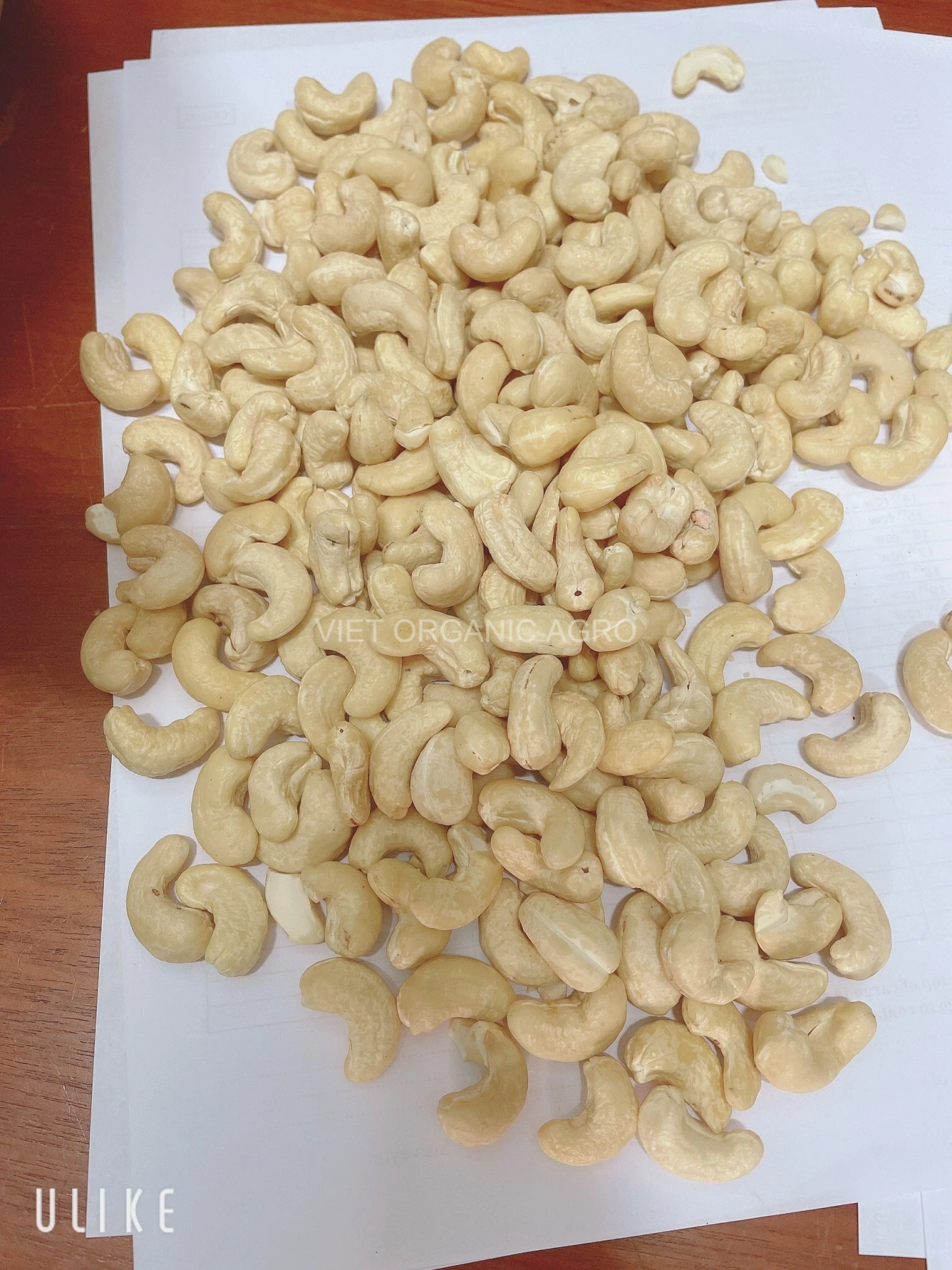 Vietnam supplier Export cashew nuts roasted dried raw cashew snack box cashew nut w320 at cheap price