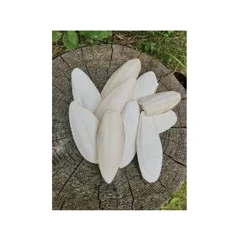 Competitive Price Cuttlefish Bone/Cuttlebone From Vietnam by 99 Gold Data (WS: 0084987731263)