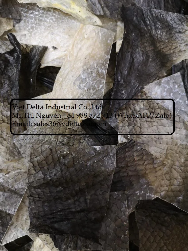 Manufacturer fish skin / dried - snack - fried ( crispy ) of pangasius fish skin - salmon fish skin very cheap from Viet nam