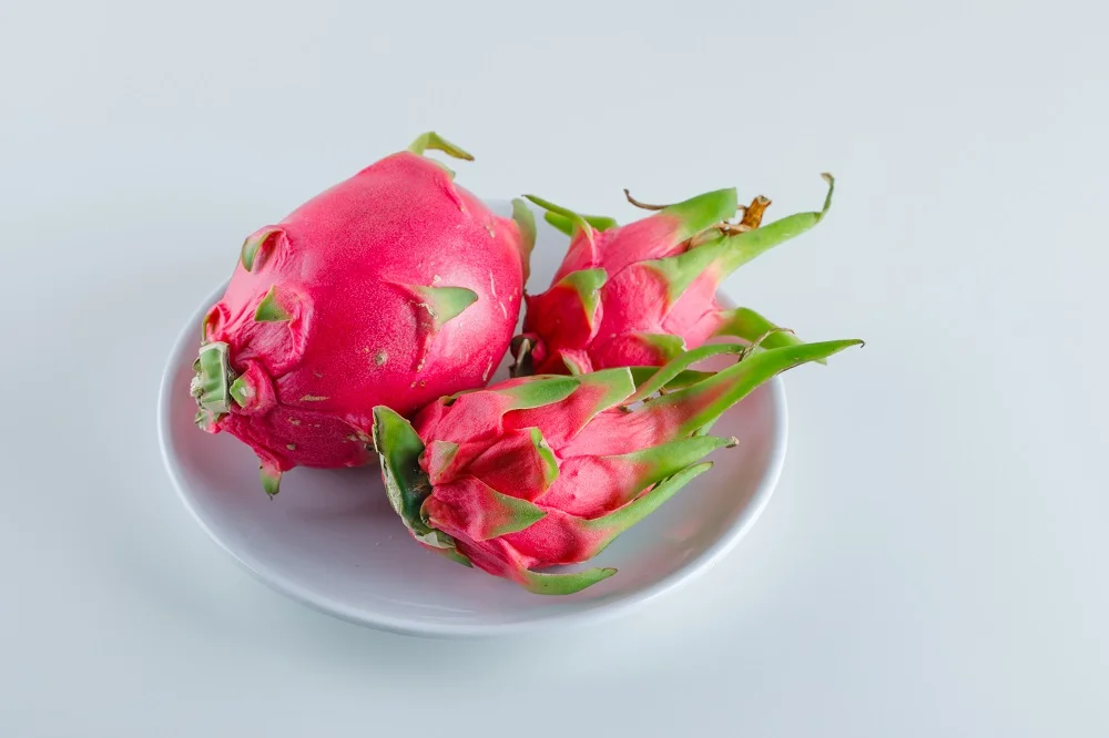 High Nutrition Tropical fruits Sweet Taste Low Fats Rich in antioxidants Red Dragon Fruits Yellow Dragon Fruits
