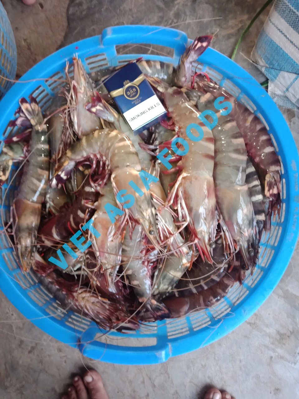 Замороженный морской Тигр креветки HOSO