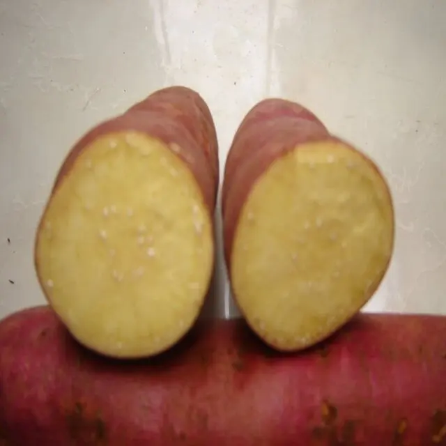 White Yellow  Red Purple Sweet potato