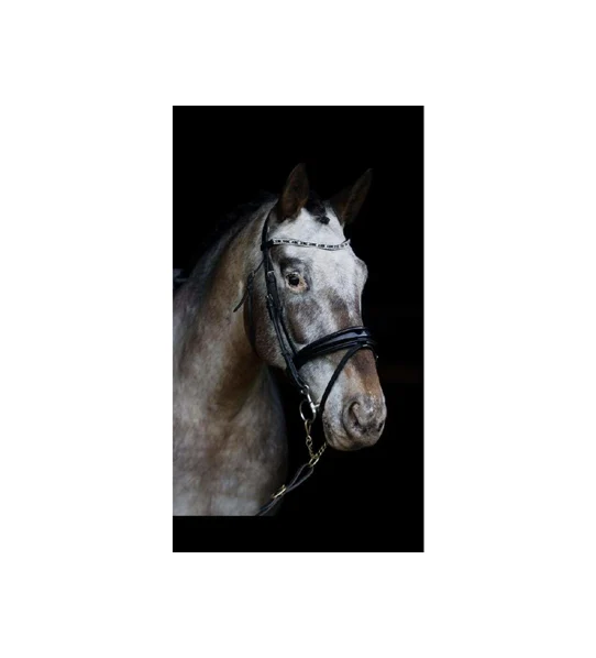 Leather Anatomic Horse Bridle On High Quality Indian Leather With Patent Leather SS Buckles And Cow Soft Padding