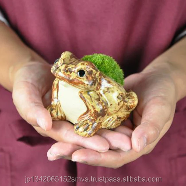 
Exclusive bonsai pot ceramic real moss animal bonsai nursery pots Japan Made 