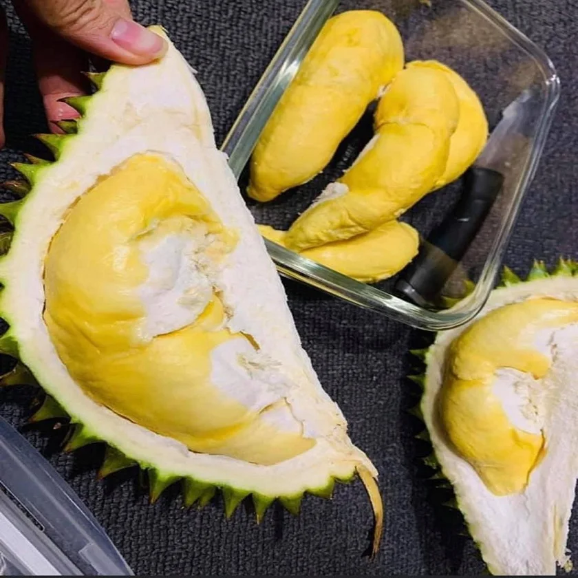 High Quality Fresh Durian For Export  Vietnam Fresh Durian Fruit Origin Type High Grade Good Price Best Taste Durians