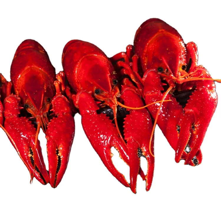 Высокое качество Замороженные Раков для продажи