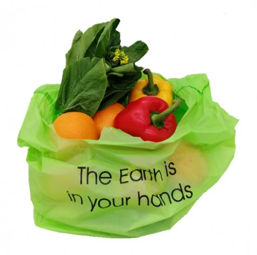 Fully Biodegradable Compostable Bag on Roll Customized Size and Design Food Bag Pbat Pla Cornstarch TUV OK Compost