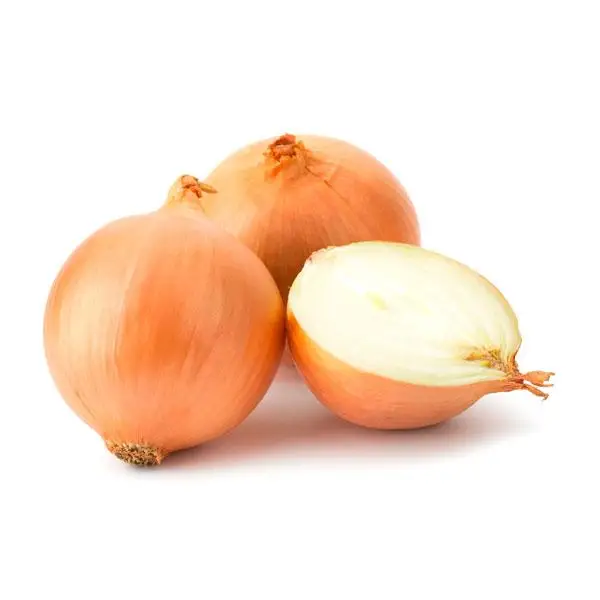YELLOW ONION FROM SPAIN