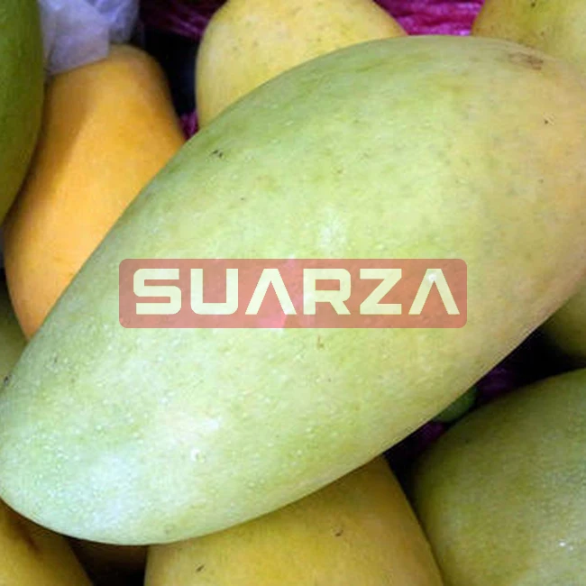 Suarza (PVT)  supplies Raw Mango, Green Mango from Pakistan/Fresh Delicious Mango exporter