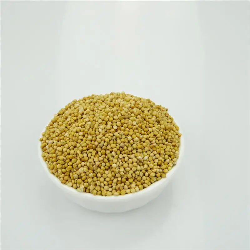 
Best Quality Yellow Millet For Sale 