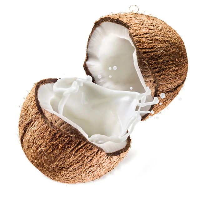 
Indonesia Fresh Coconut Mature Semi Husked Coconuts 