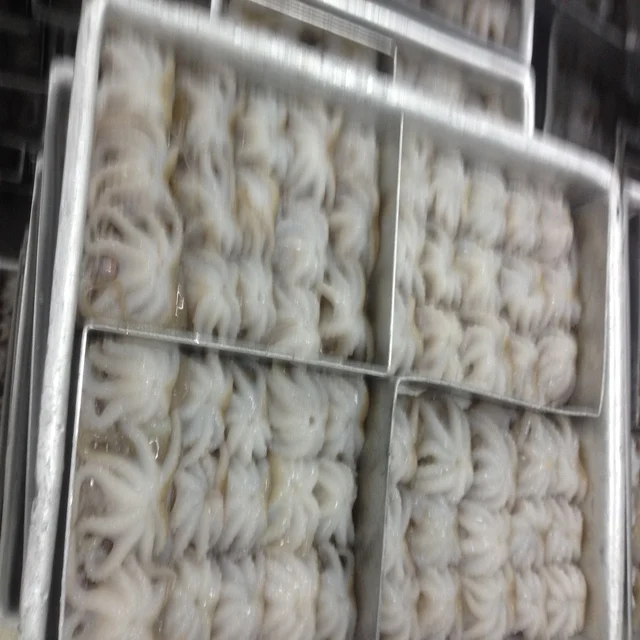
Viet Nam Frozen Baby Octopus/Baby Octopus all size 