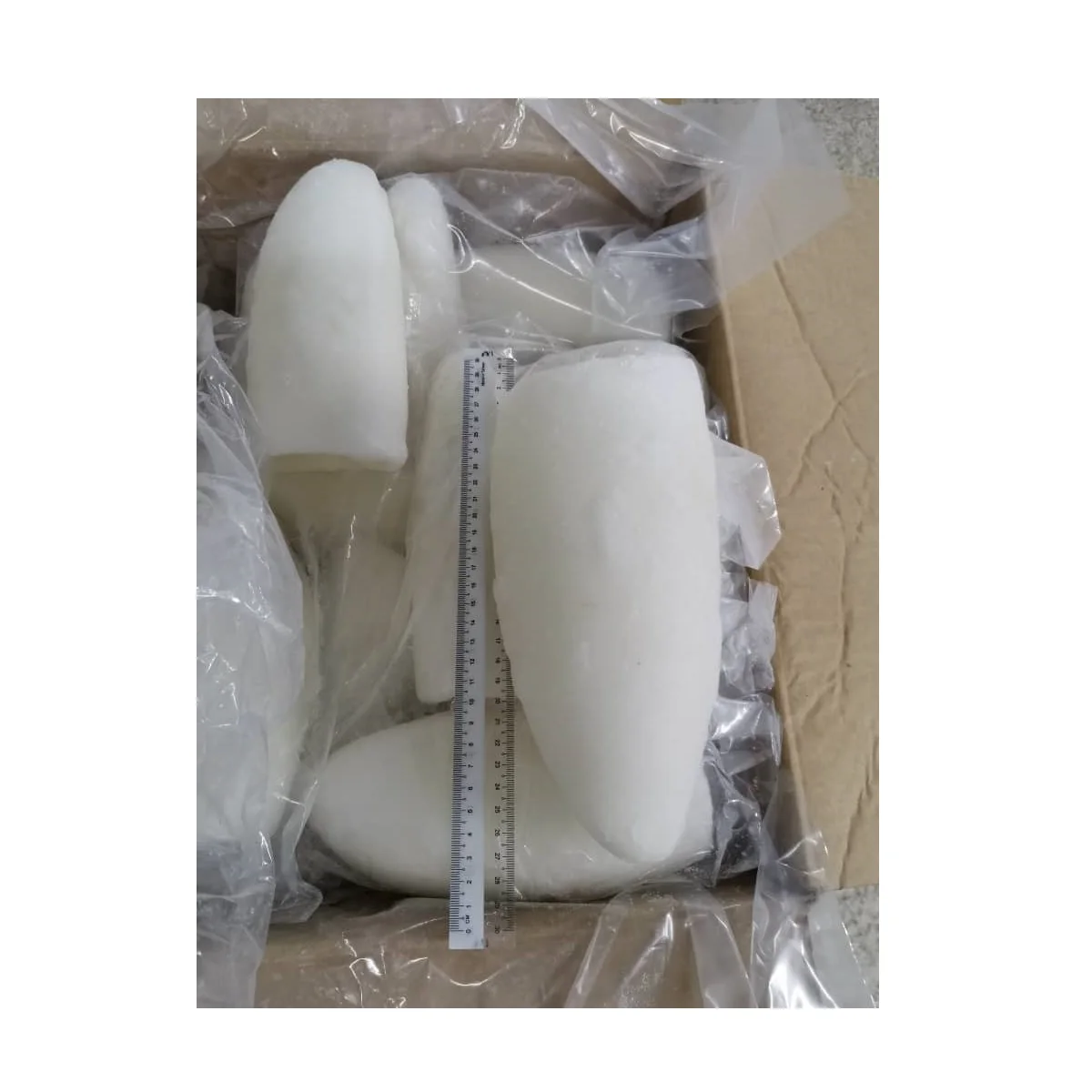 Customize Size Best Price Frozen Whole Cleaned Cuttlefish Roll IQF With 2 Years Shelf Life From Malaysia