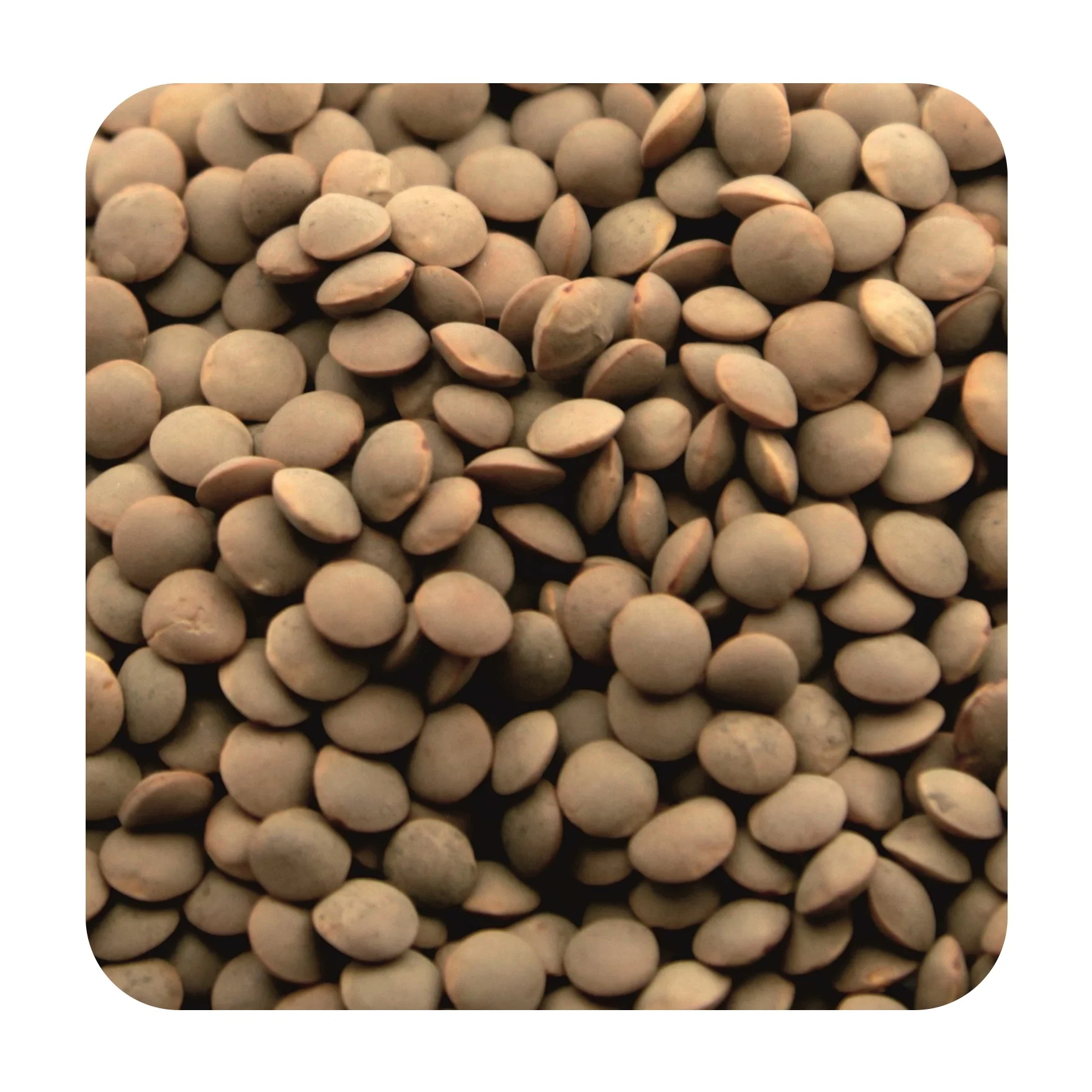 
Premium red lentils from manufacturer big bag, in stock 