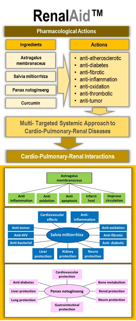 Комплекс иммунного регулирования высокой мощности иммунный регулятор иммунная капсула для автоматического иммунитета и
