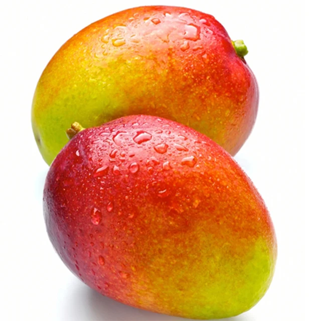 High quality 100% natural Mango /Top Quality Wholesale