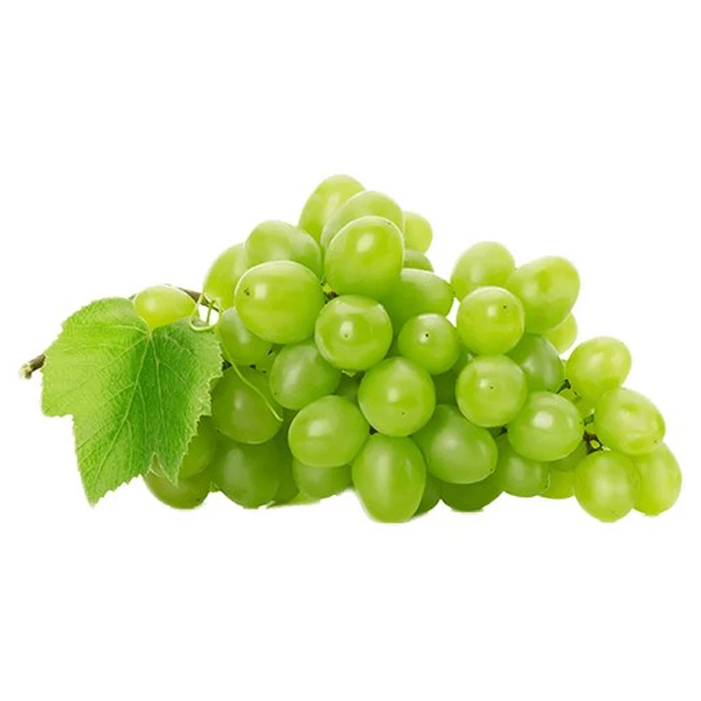 Thompson Seedless Grapes Exporters Cheap Fresh Grapes Fresh Fruit Growing Thompson Seedless Grapes