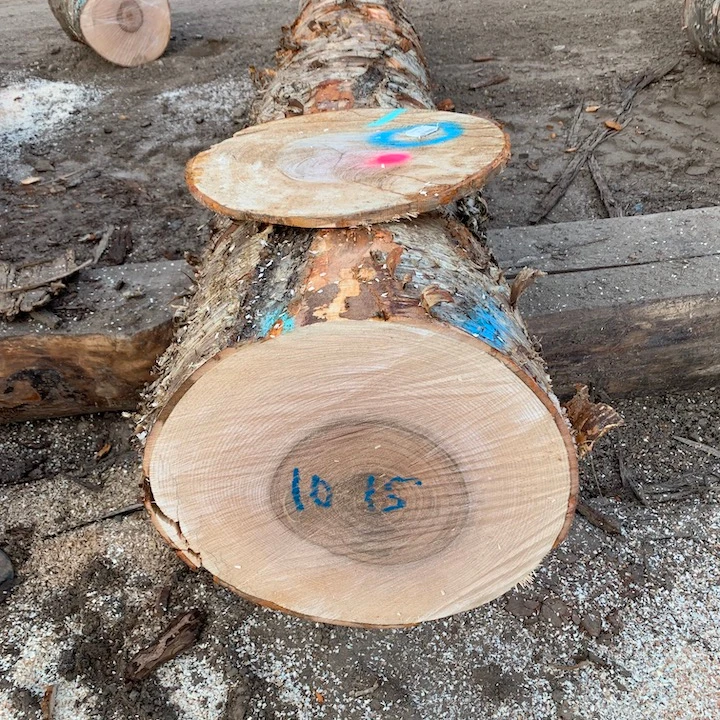 Birch Sawn Logs, 20 - 35 cm Diameter