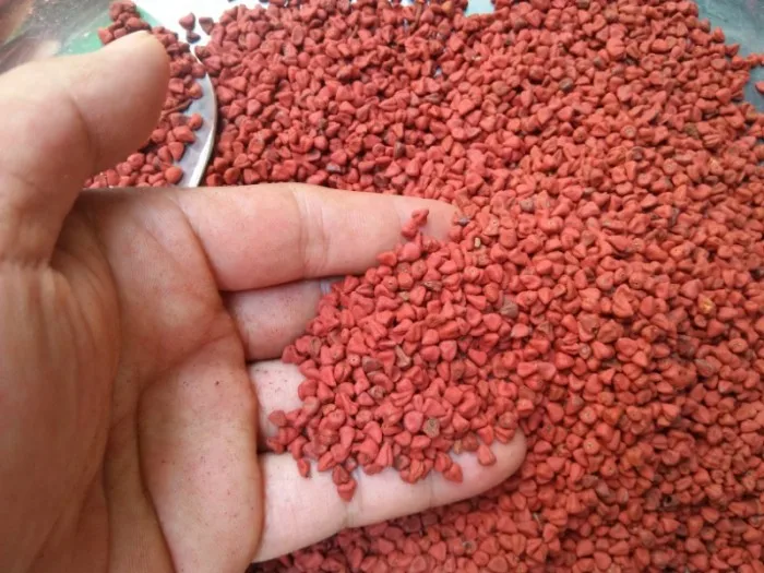 Высококачественные/высококачественные семена красного Аннато из Вьетнама