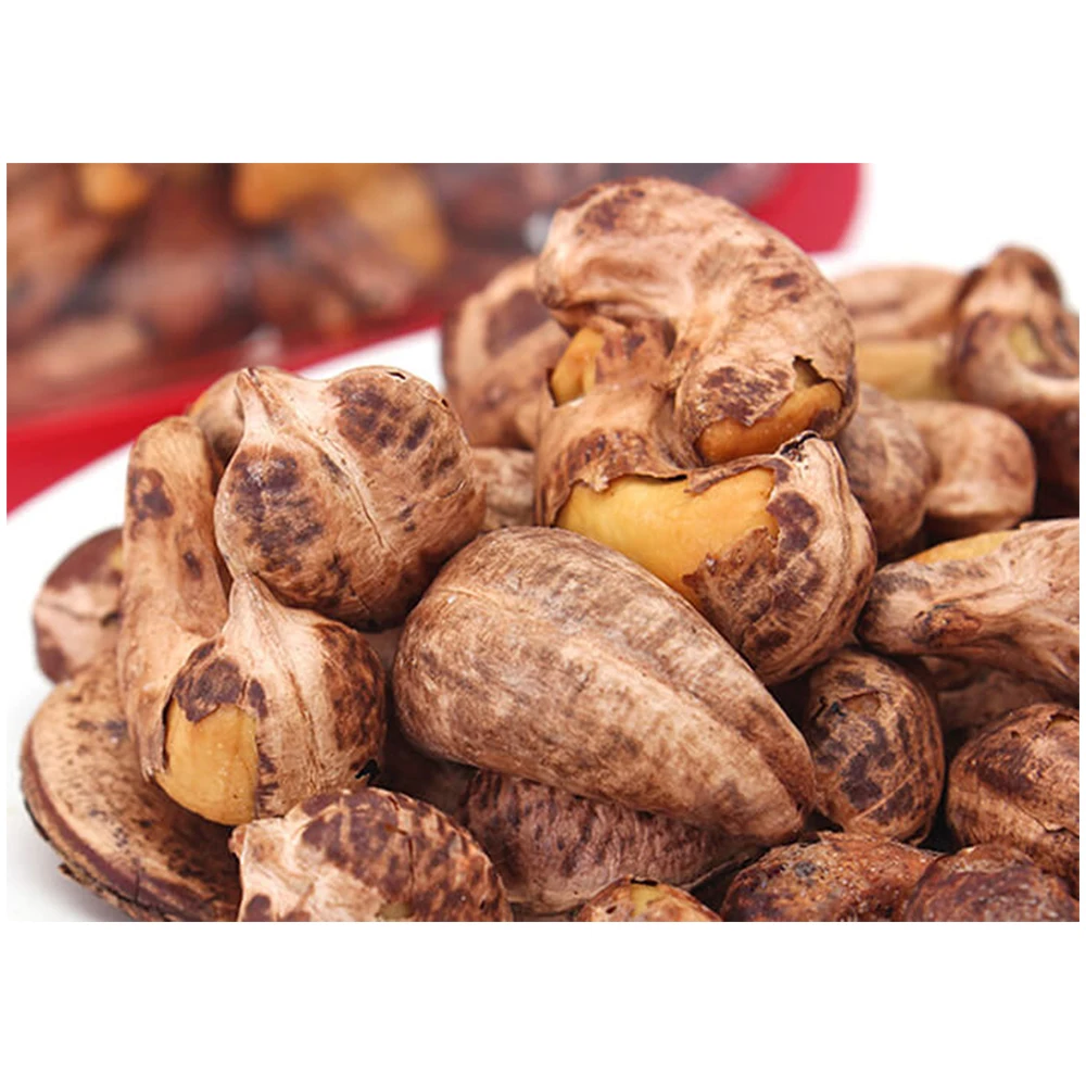 Vietnam Cashew Nuts at Factory Price Newest Crop for export