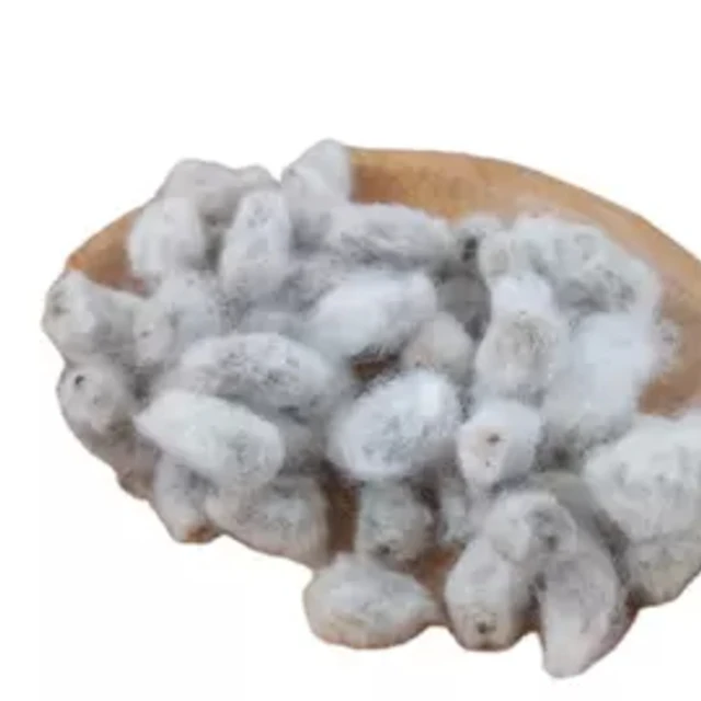 
Factory Price Top Sell Best Quality With Cottonseed Cottonseed Hull Pellets High Protein Cotton Seed Meal Cottonseed 