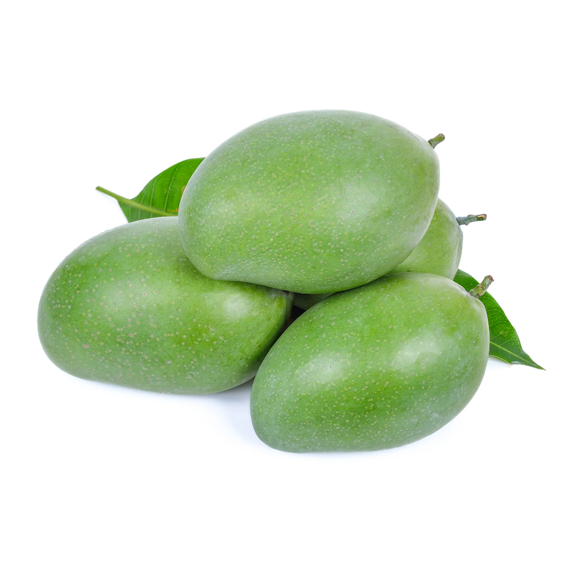 Сырые манго-высокое качество