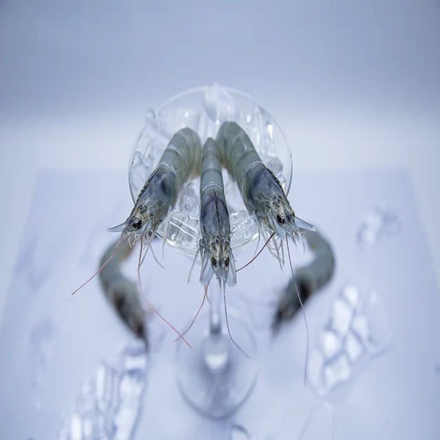 
Vannamei Head on shell on 