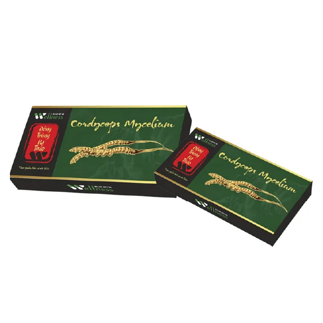 Wholesales prices Cordyceps extract products Health support Vietnamese products