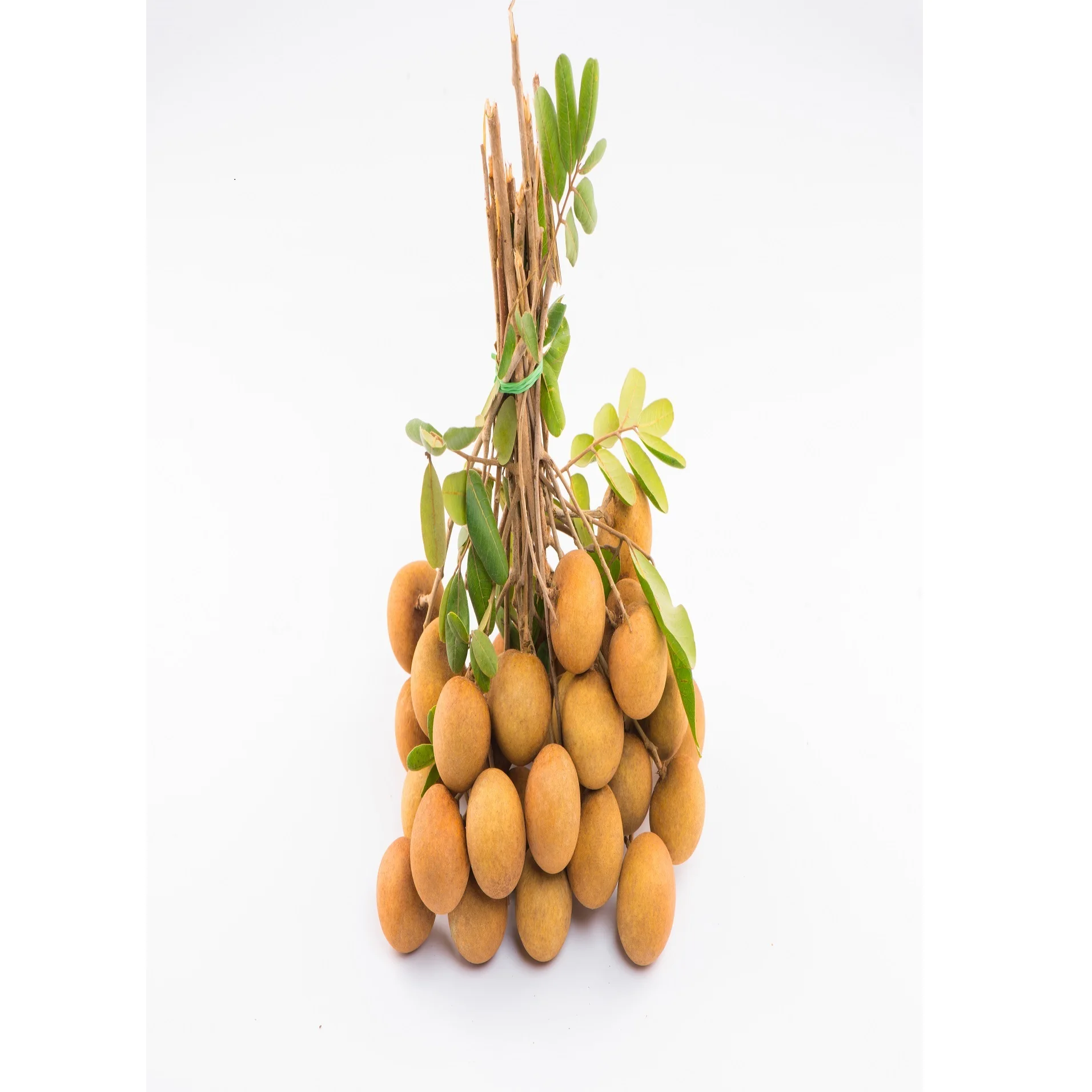 Best Price Common Cultivation Type >24.5mm Size Carton Box Packaging Sweet Taste Longan Export From Vietnam