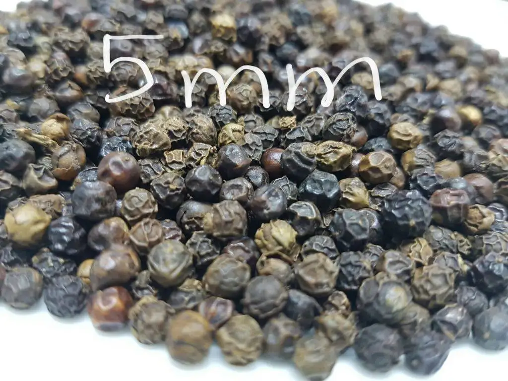 Hot Spices For Sale Vietnam Black Pepper 5mm ASTA