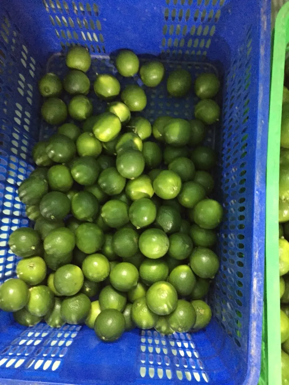 FRESH LEMON, FRESH LIME FROM VIETNAM BEST QUALITY FOR EXPORT whatsapp +84902948089