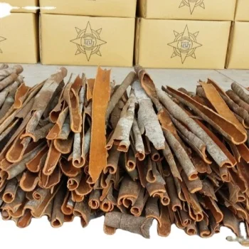 Сушеная разделенная Кассия от лучшего поставщика во Вьетнаме | + 84961 358 398 whatsapp