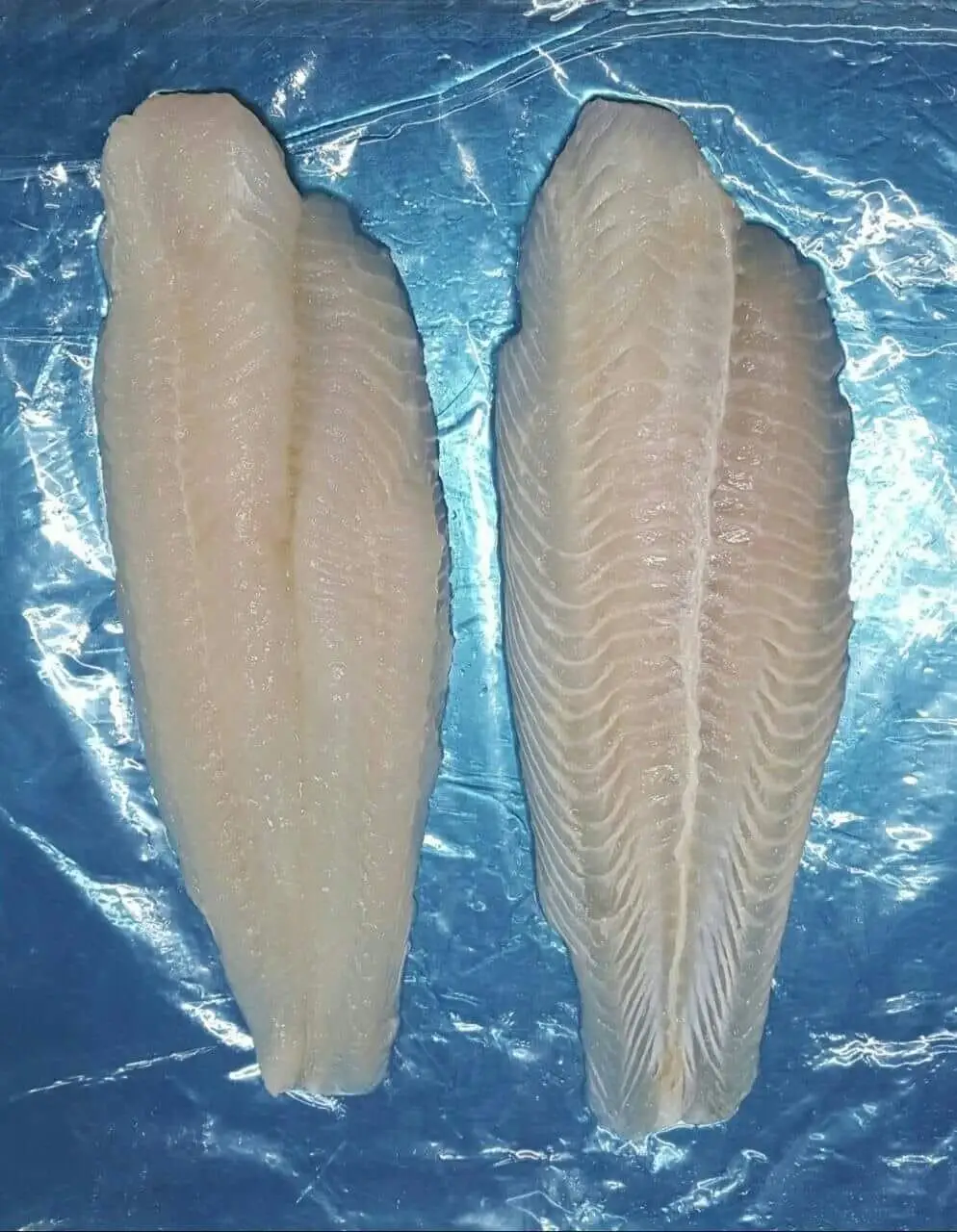 Оптовая продажа высококачественное филе рулон PANGASIUS (ROSE) IQF замороженная рыба морепродукты розы пангасиус из Вьетнама