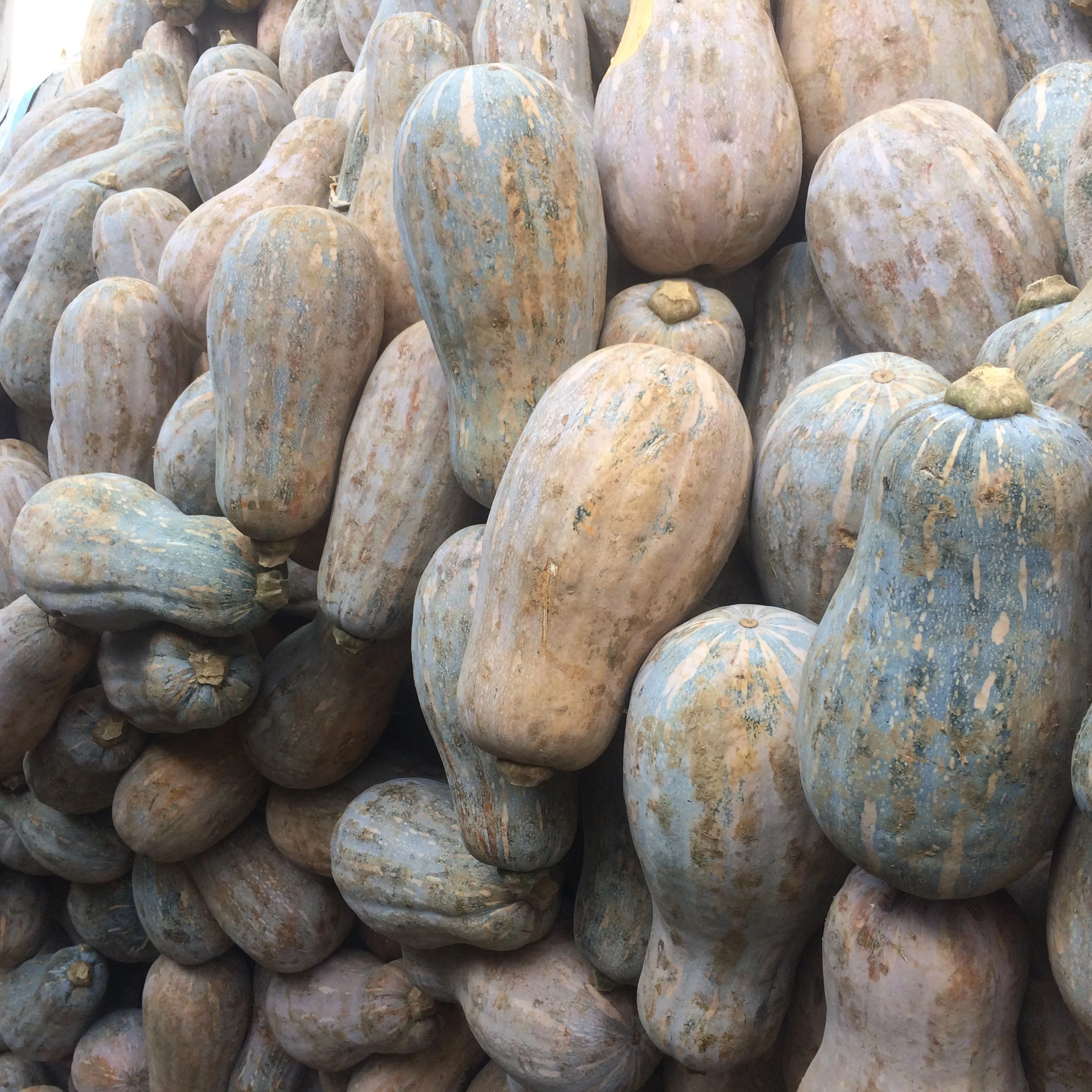 VIETNAM VEGETERIAN FROZEN FOOD IQF PUMPKIN CUBE/ SLICE/ PUREE OEM PACKING FOR EXPORTING