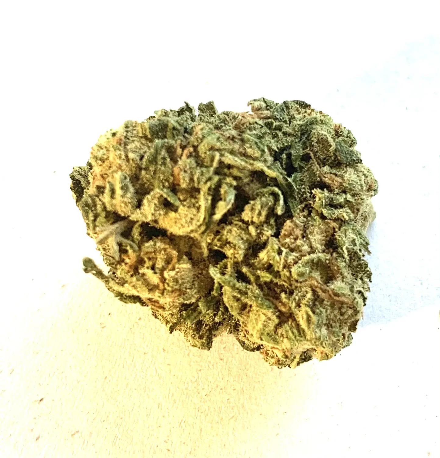 
CBD Harlequin 