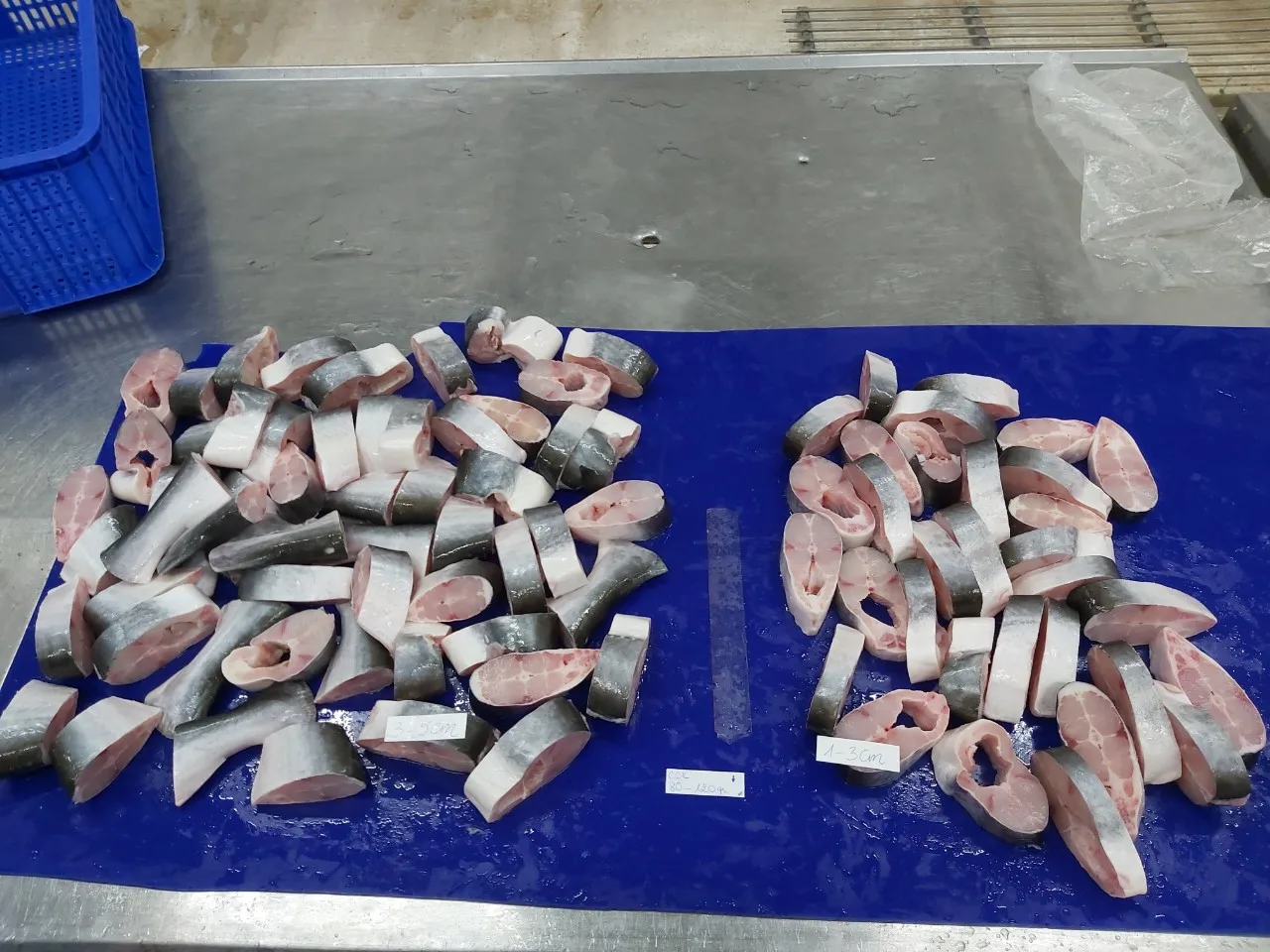 Best Quality Frozen Seafood Pangasius/ Basa Cut Good Price Made From Vietnam
