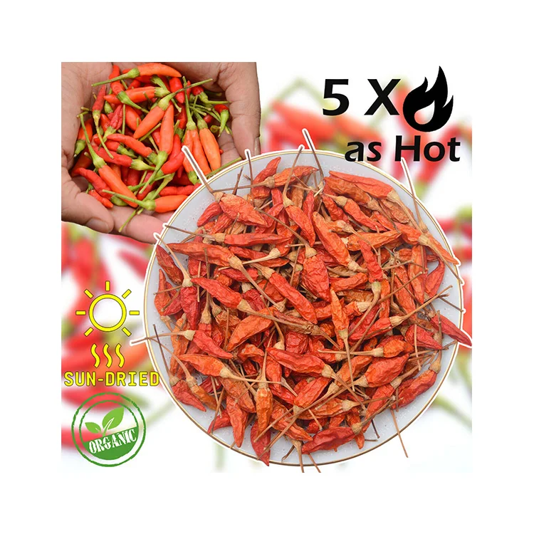 
 Оптовый Поставщик удлиненной формы «Птицы глаз» Red Chilli по минимальной цене  