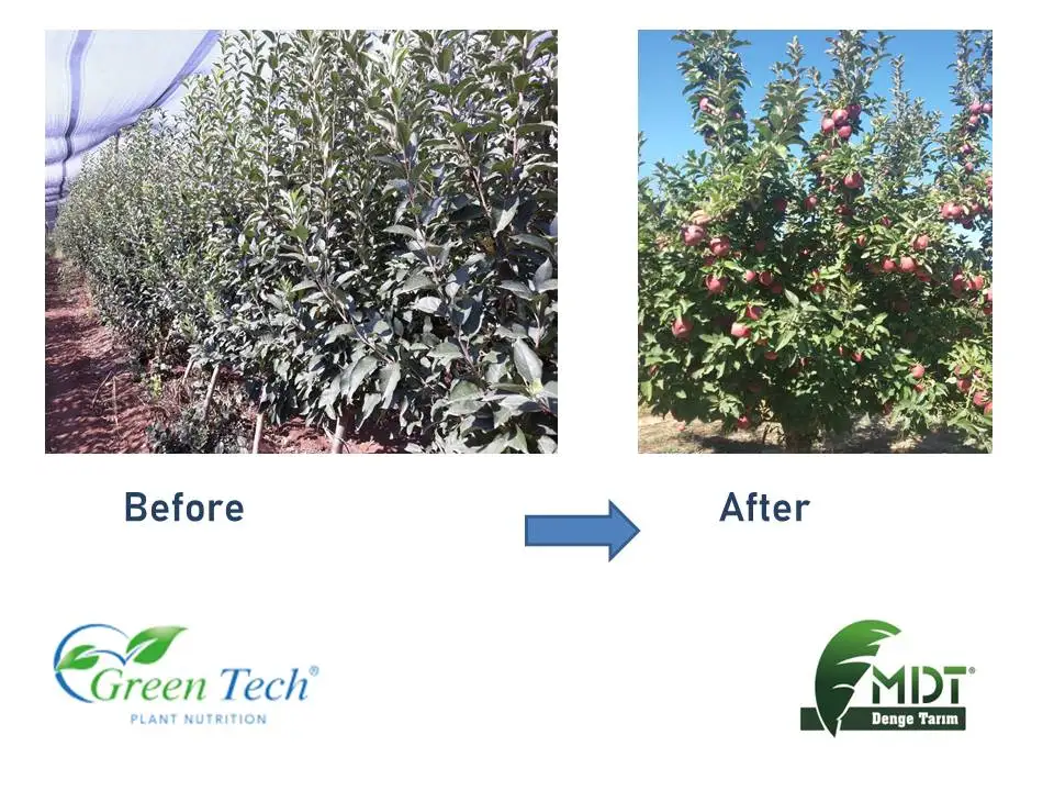 Green Tech AlgaCell - Liquid Biologic Fertilizer - Microbiel Fertilizer - With ACT (Active Cell Technology)