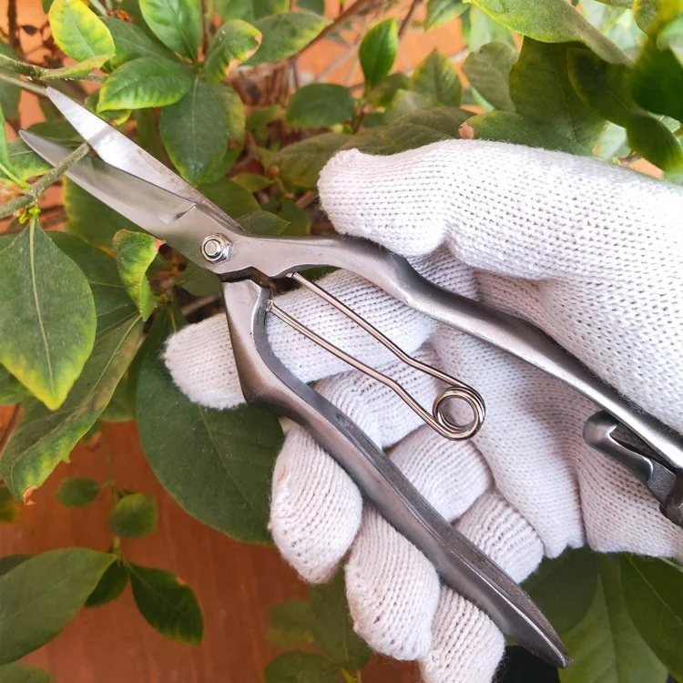 High quality forged fruit harvesting hand  bonsai scissors tool pruner